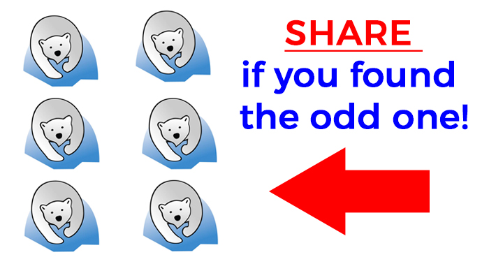 find-the-odd-bear-riddle